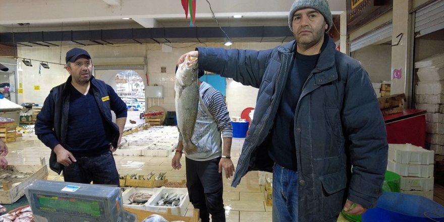 Foça'da balıkçılar levrek bolluğundan memnun