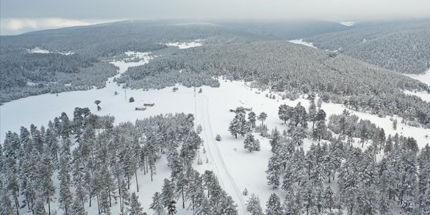 Karla kaplı Kars, Türkiye Ralli Şampiyonası'na ev sahipliği yapmaya hazırlanıyor