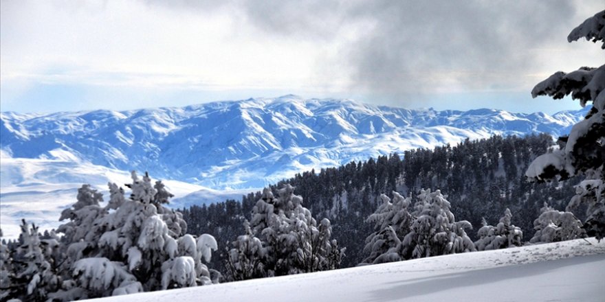 Doğu Karadeniz'in iç kesimleri ve Doğu Anadolu'nun doğusu için çığ uyarısı