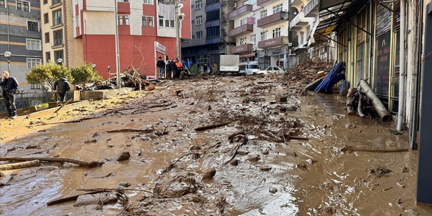 Borçka'da sağanağın ardından hasar tespit ve temizlik çalışması yapılıyor