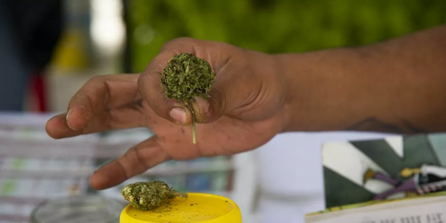 New York polisi artık marihuana kokusu nedeniyle araçlarda arama yapamayacak