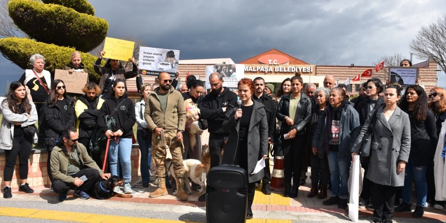 İzmir Kemalpaşa'da barınaktaki ölü köpek görüntülerine ilişkin hayvanseverlerden protesto