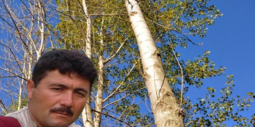 Kütahya'da kesilen ağacın üzerine devrilmesiyle yaralanan kişi hastanede öldü