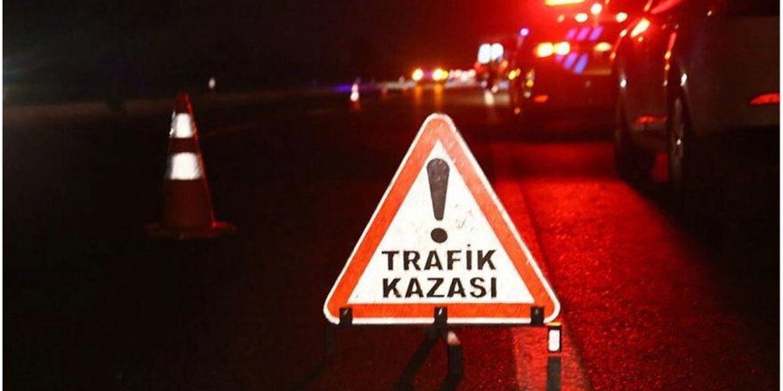 İzmir'de ağaca çarpan otomobildeki 2 kişi hayatını kaybetti