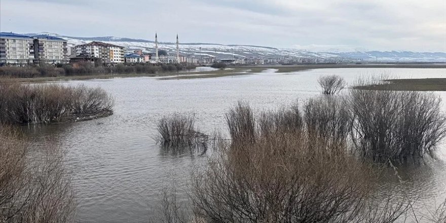 Ardahan'da Kura Nehri eriyen kar birikintileri ve sağanak nedeniyle taştı