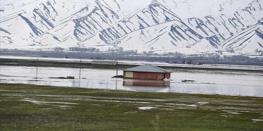 Hakkari'de yağışlar nedeniyle tarım arazileri ve bazı evler su altında kaldı