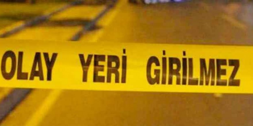 İzmir'de bir kişinin öldüğü silahlı kavgaya ilişkin 2 zanlı daha yakalandı