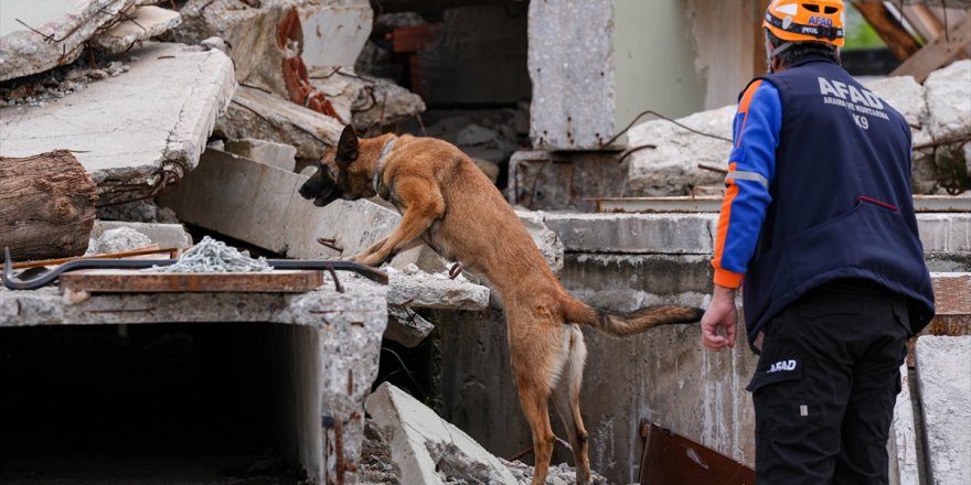 İzmir'de enkazda hayvan arama kurtarma tatbikatı yapıldı