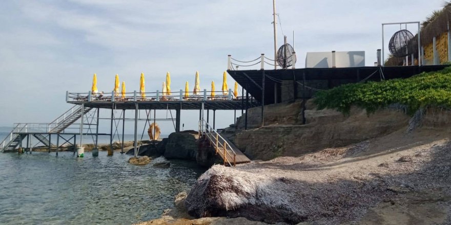 İzmir'de Akdeniz foklarının üreme alanına izinsiz kurulan demir iskele yıkılacak