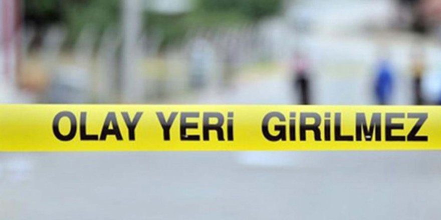 Aydın'da silahlı saldırıya uğrayan kadın hayatını kaybetti
