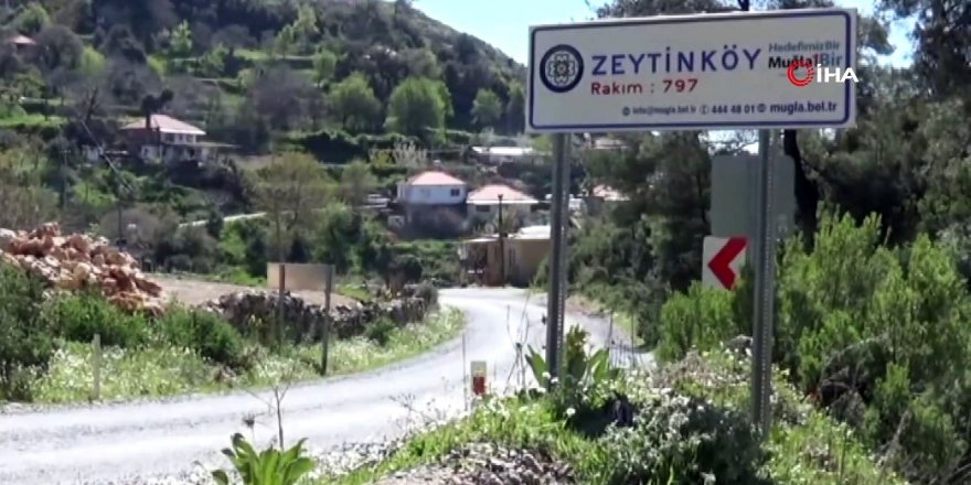 Muğla’da cinayet: Baba ve oğlu kavgalı olduğu komşusu tarafından öldürüldü