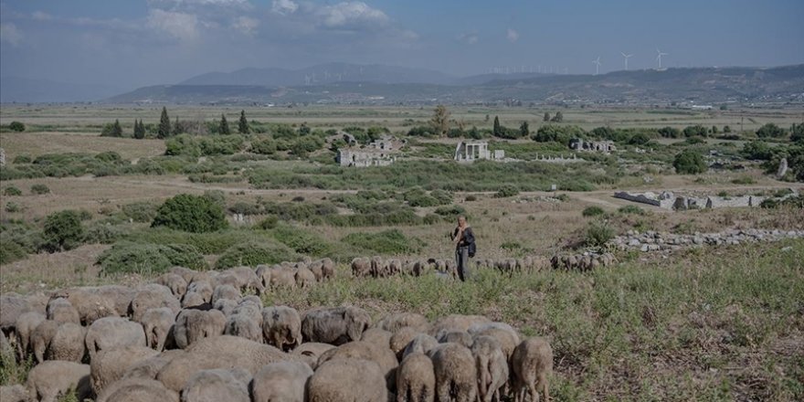 Fotoğraf ve tarihseverlerin yeni gözde rotası, Didim