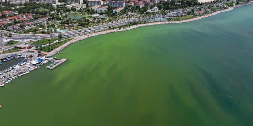 İzmir'de plankton patlaması denizin rengini değiştirdi