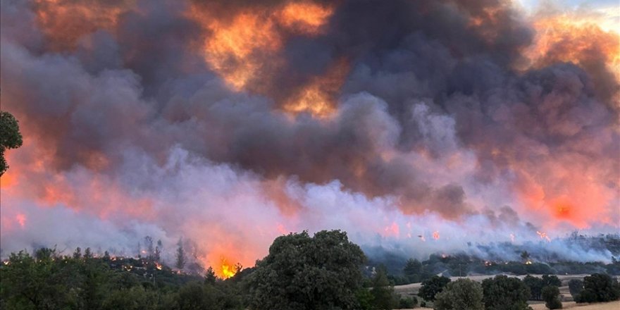 Uşak'ta çıkan orman yangınına müdahale ediliyor