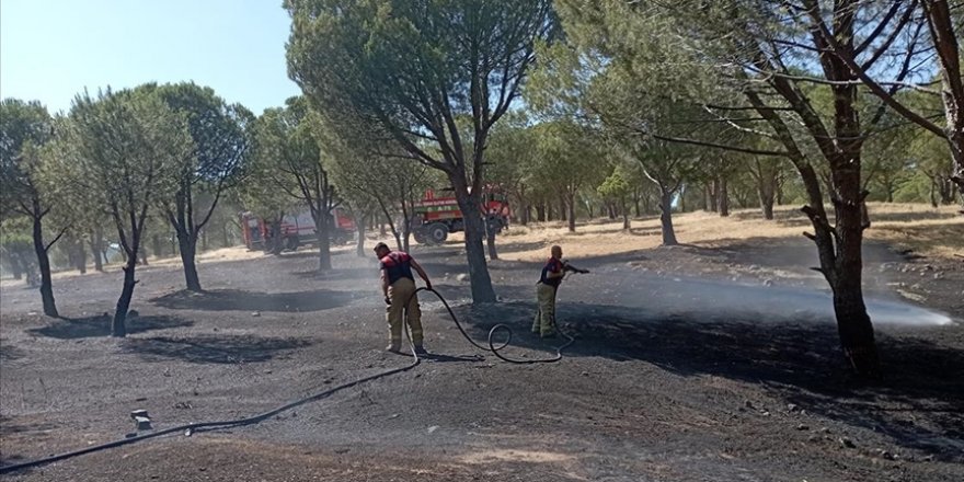 İzmir'in Karaburun ilçesinde çıkan orman yangını kontrol altına alındı