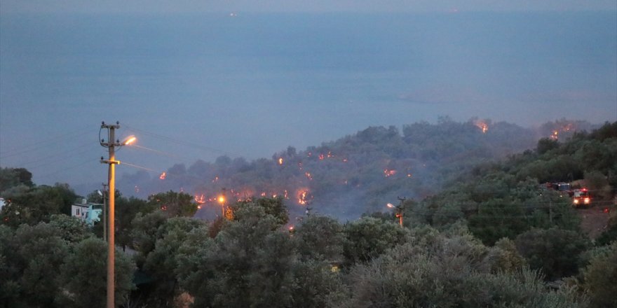 İzmir'de otluk alanda çıkan ve zeytinlik alana sıçrayan yangına müdahale ediliyor