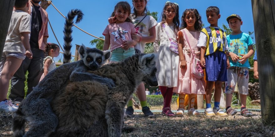İzmir Doğal Yaşam Parkı bayramda çocuklu aileleri ağırladı