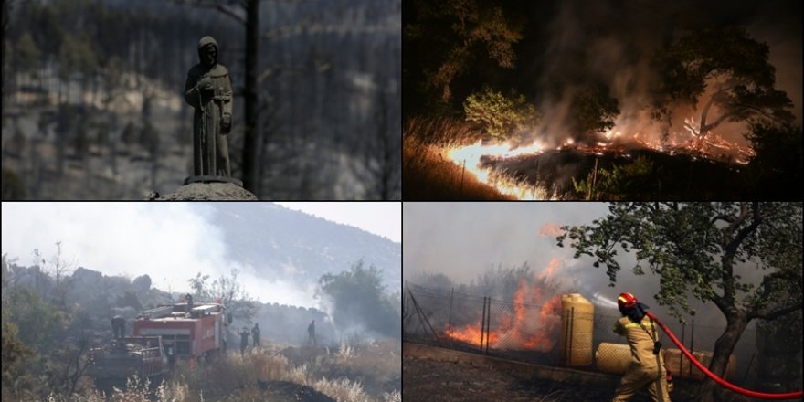 Dünya genelinde orman yangınları etkili oluyor