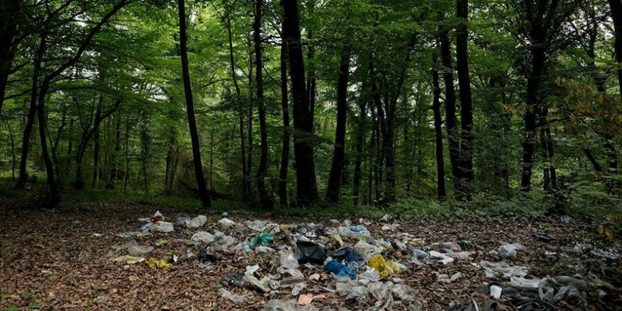 İstanbul'un ormanlık alan ve plajlarında tatilden geriye çöpler kaldı