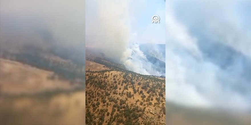 Manisa Salihli'de çıkan orman yangınına müdahale ediliyor