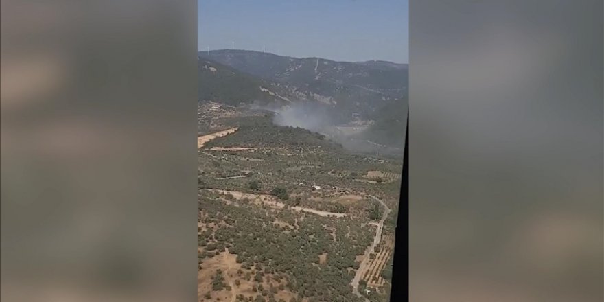 İzmir'in Torbalı ilçesinde çıkan orman yangını kontrol altına alındı
