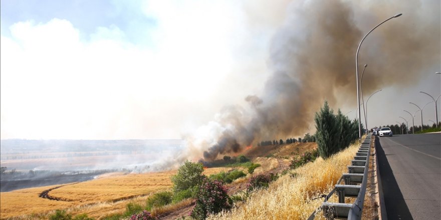 Dicle Elektrikten Diyarbakır ve Mardin arasındaki anız yangınına ilişkin açıklama