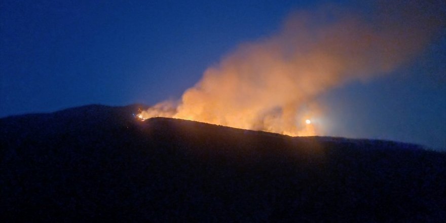 Manisa Salihli'de çıkan orman yangını kontrol altına alındı