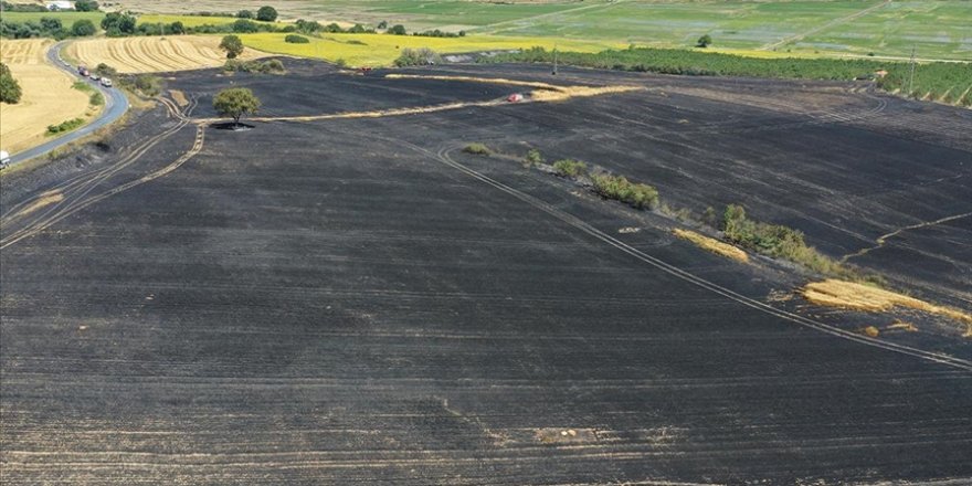 Edirne'de biçerdöverin tutuşması sonucu 100 dekarlık buğday ekili alan yandı