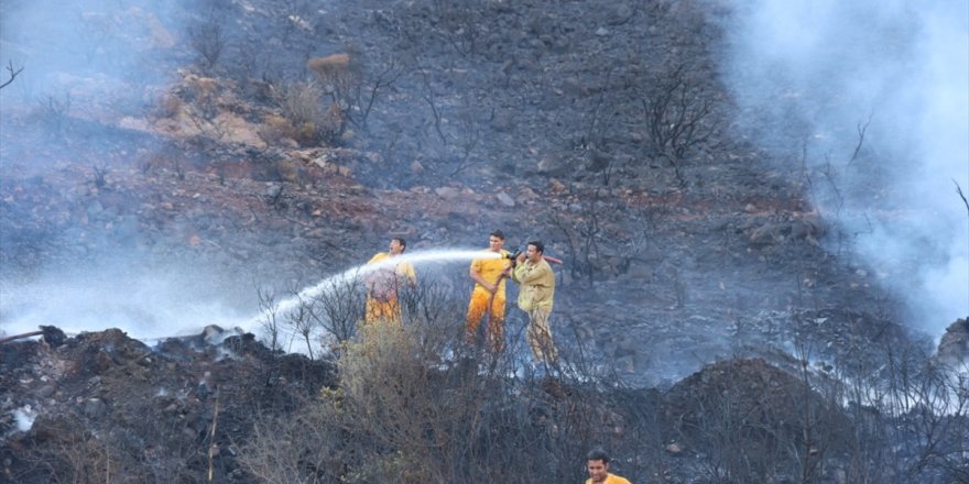 Muğla'nın Marmaris ilçesinde çıkan orman yangını söndürüldü