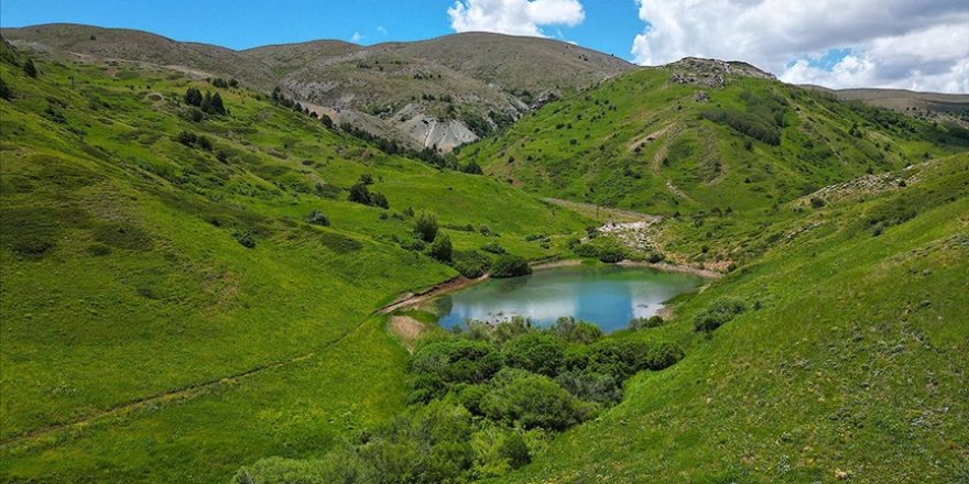 Kop Dağı zengin bitki örtüsü ve endemik türleriyle öne çıkıyor