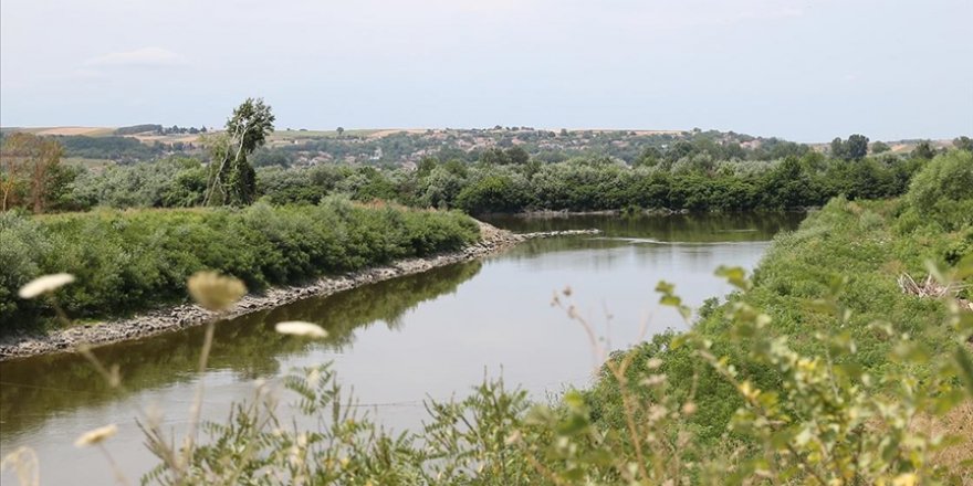 Meriç Nehri'nde su akışının hızlanması için temizlik yapılacak