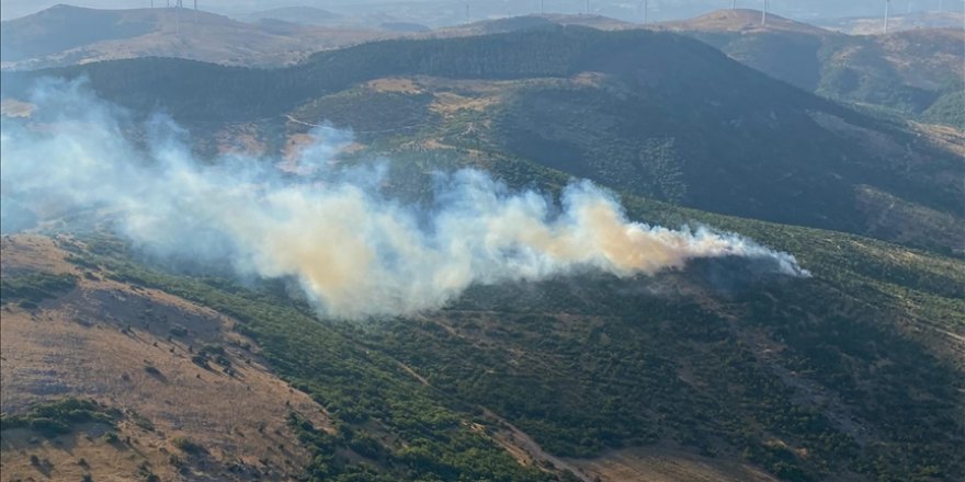 Balıkesir'de ormanlık alanda çıkan yangın kontrol altına alındı