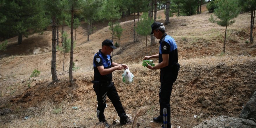 Bingöl'de orman yangınlarına karşı polis de devrede