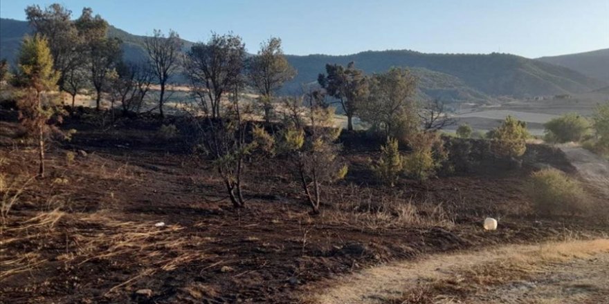 Çorum'da mangaldan kaynaklanan yangın nedeniyle 6 dekar alan zarar gördü