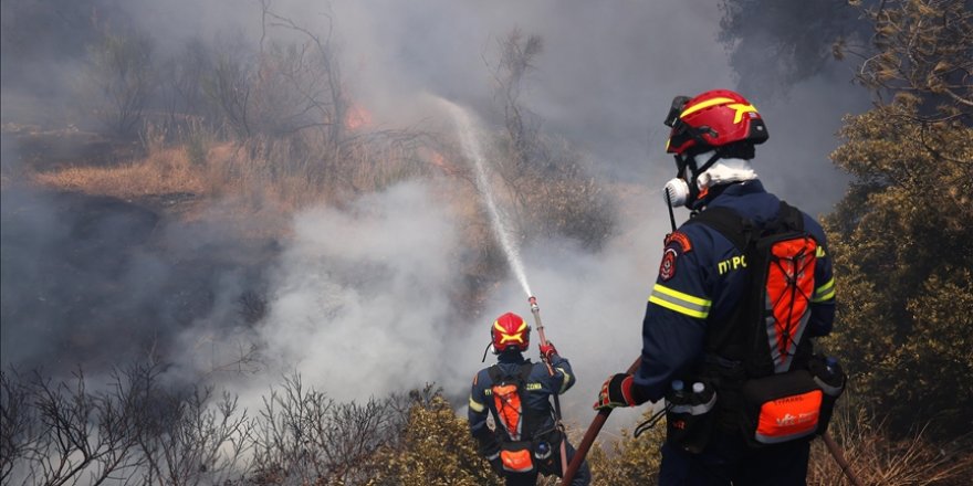 Sakız Adası’nda çıkan yangın sakız ağaçlarını tehdit ediyor