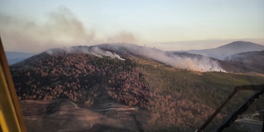 Manisa'nın Soma ilçesinde çıkan orman yangınına müdahale ediliyor