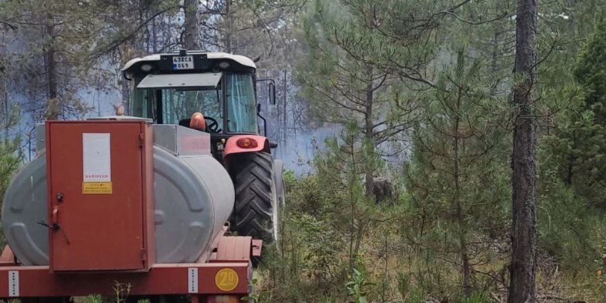 Denizli Çameli'deki orman yangınına müdahale sürüyor