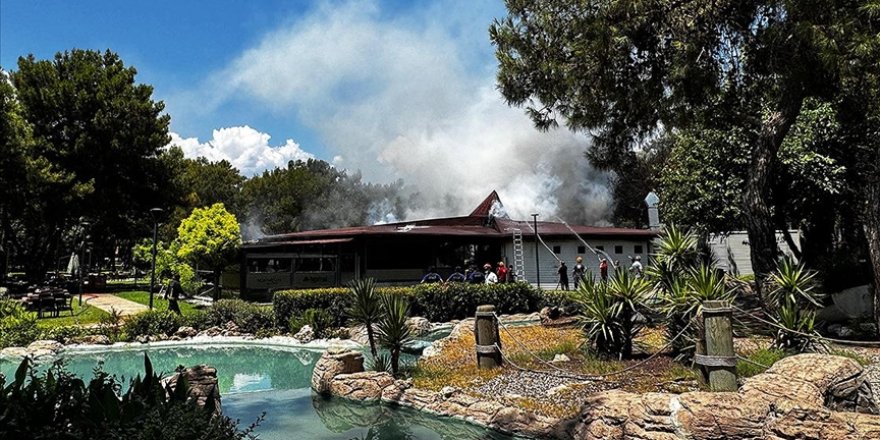 Antalya'da ormanlık alandaki bir restoranda yangın çıktı