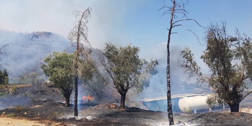 İzmir'de ormanlık alanda çıkan yangına müdahale ediliyor