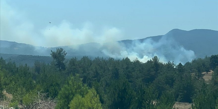 Bursa'da ormanlık alanda çıkan yangına müdahale ediliyor