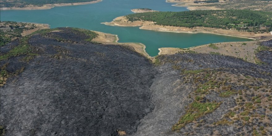 Balıkesir'deki orman yangını kontrol altına alındı