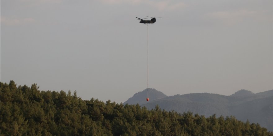 Kütahya'da ormanlık alanda çıkan yangın kontrol altına alındı