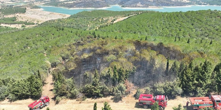 Çanakkale'nin Bayramiç ilçesinde çıkan orman yangınına müdahale ediliyor