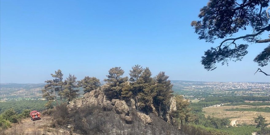 Çanakkale'nin Ayvacık ilçesinde çıkan orman yangını kontrol altına alındı