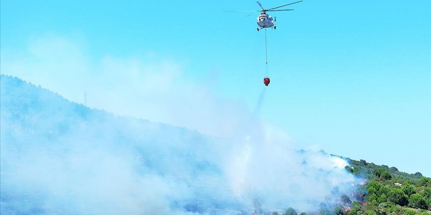 Pendik'te ormanlık alanda çıkan yangın kontrol altına alındı