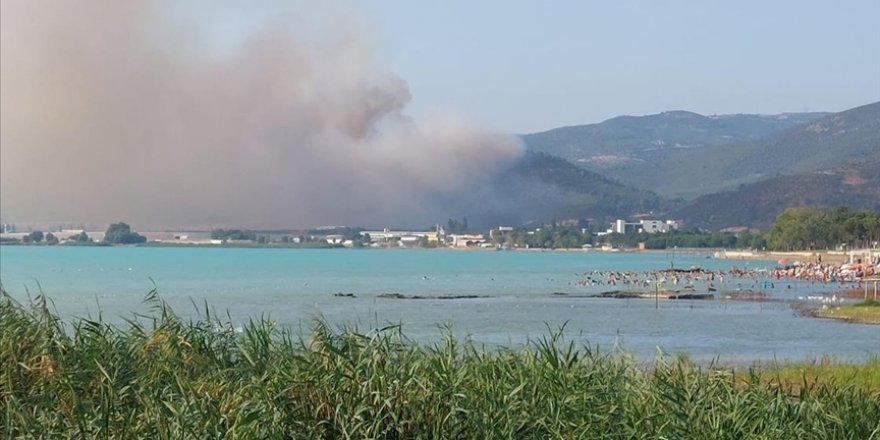 Bursa'daki orman yangını kontrol altına alındı