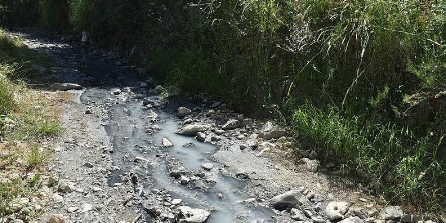 İzmir'in Dikili ilçesindeki vatandaşlar, Müsellim Deresi'ndeki koku ve kirlilik sorununa çözüm bekliyor