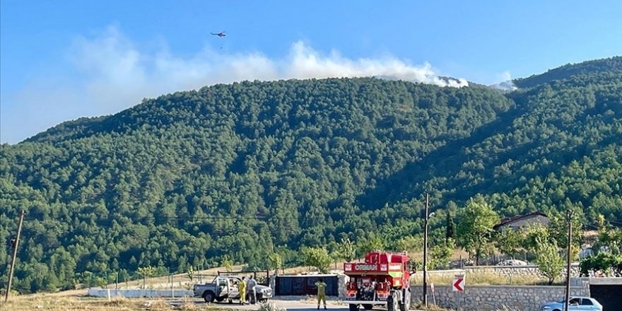 Karabük'te çıkan orman yangını kontrol altına alındı