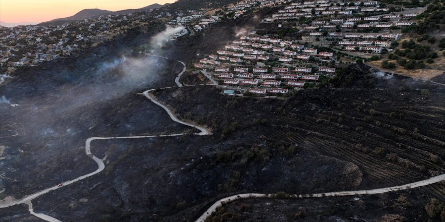 İzmir Dikili'de çıkan orman yangını kontrol altına alındı