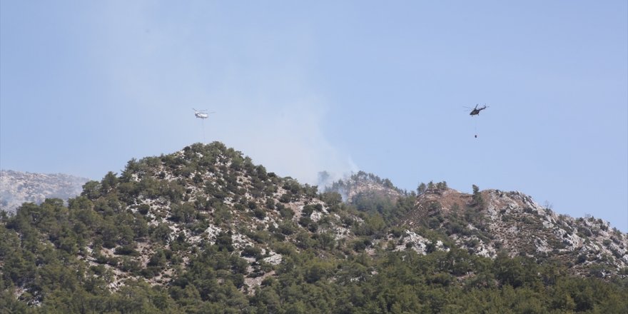 Muğla'nın Milas ilçesinde çıkan ikinci orman yangını söndürüldü